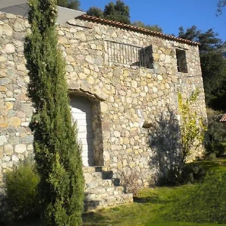 Bomorto