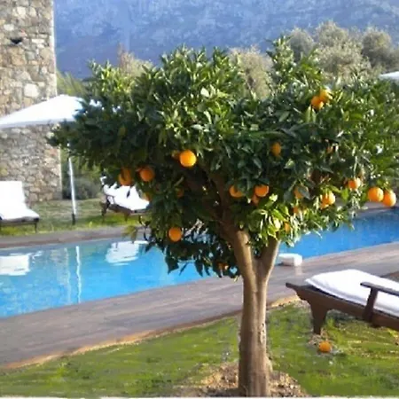Bomorto Calenzana